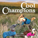 Cool Coats Agility